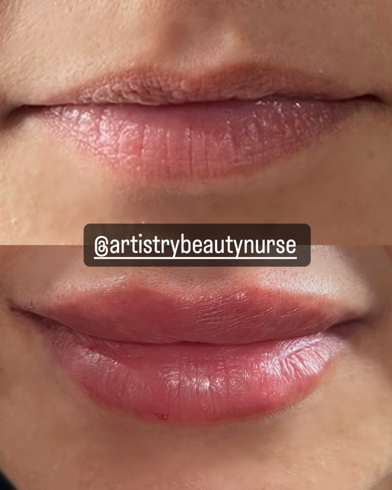 Artistry “Mini Lip”