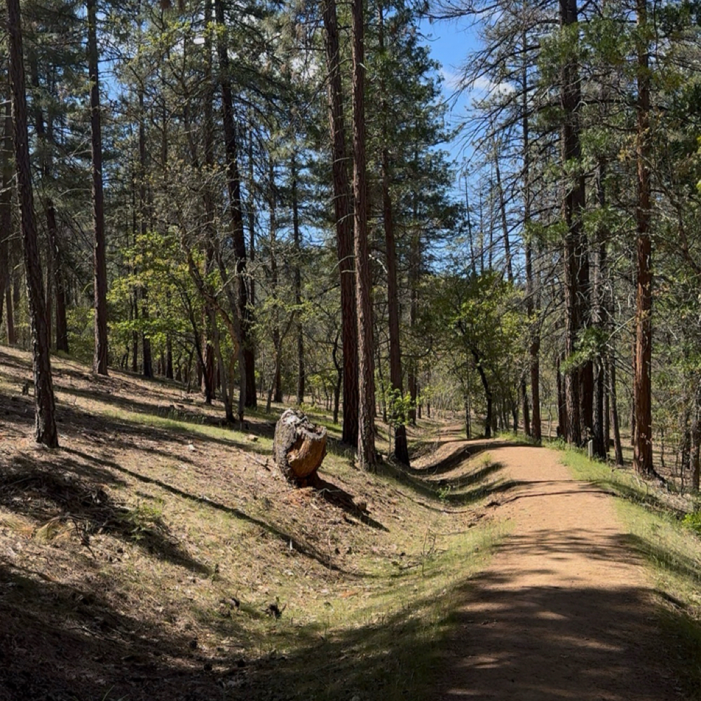 Youth Recovery & Support at “Art Of Circulation” in Mount Shasta, CA