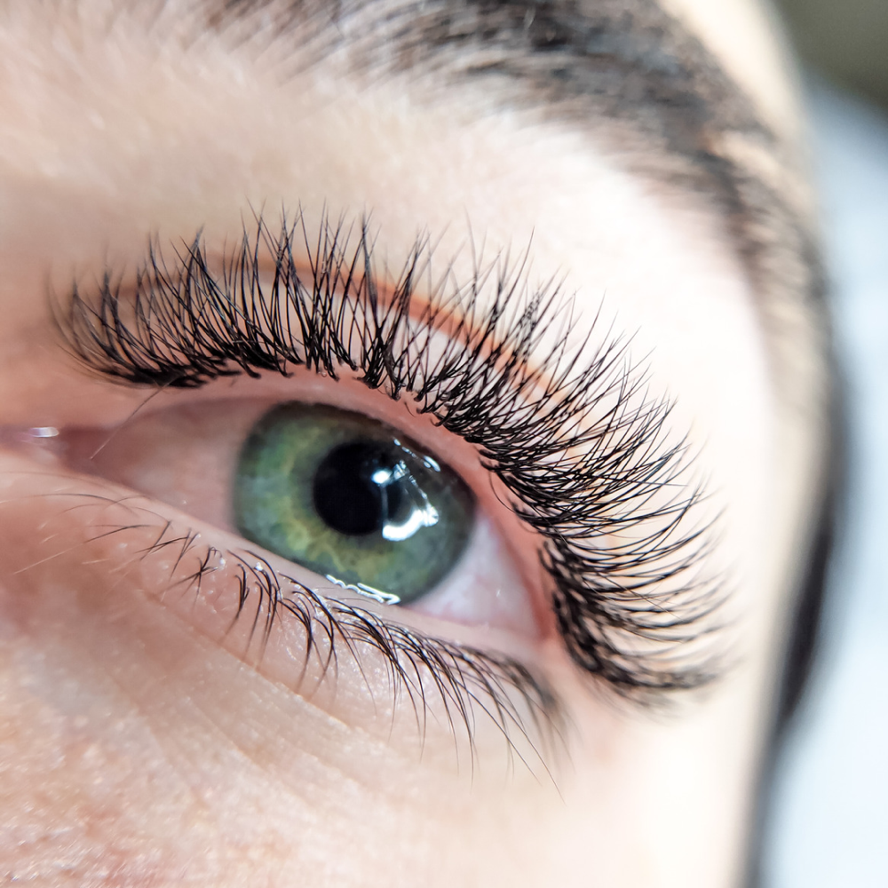 Classic Lash Fill