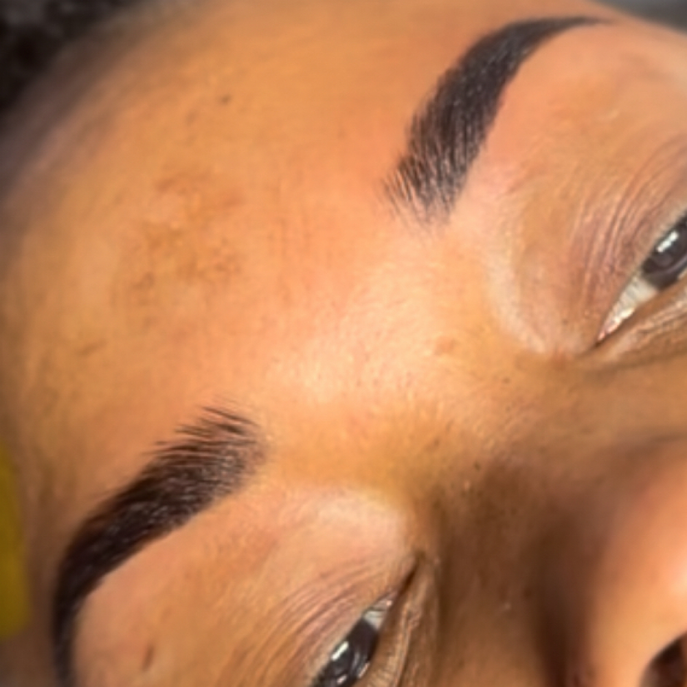 Brow Lamination + Wax + Tint at Spa Treatment by Shannell in Fayetteville, NC