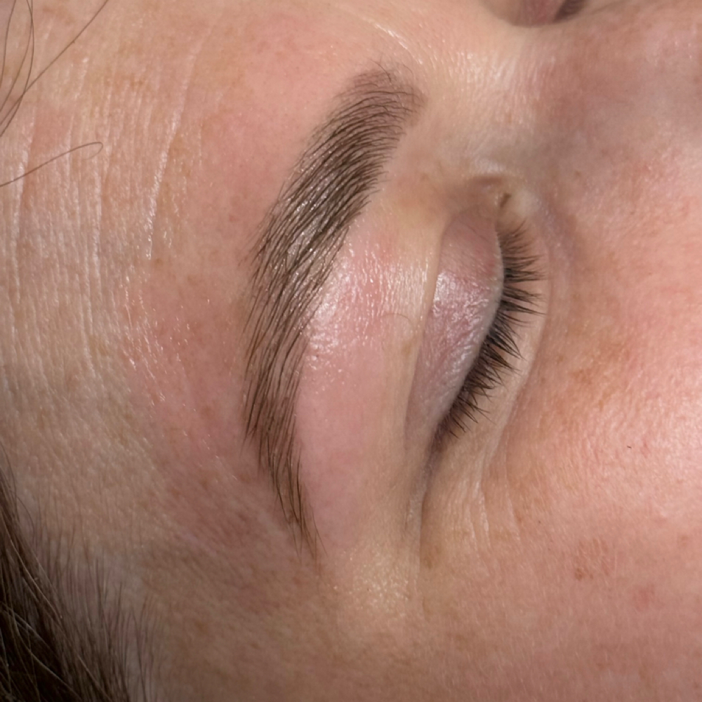 Brow Tint + Waxing at Silk + Skin Aesthetics in Tallassee, AL
