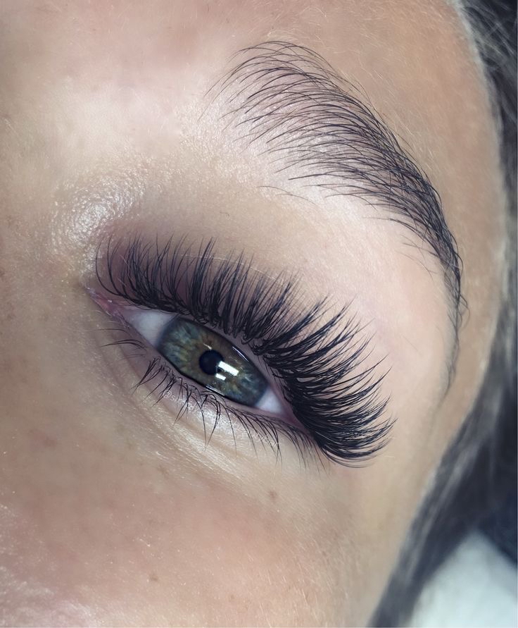 Volume Led Lash 2 Wk Led