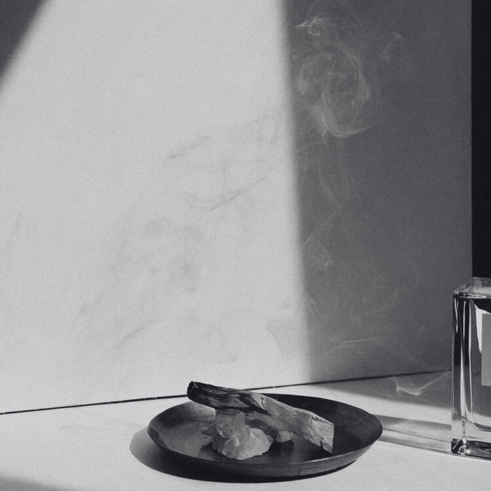 Full Highlight at Palo Santo in San Diego, CA