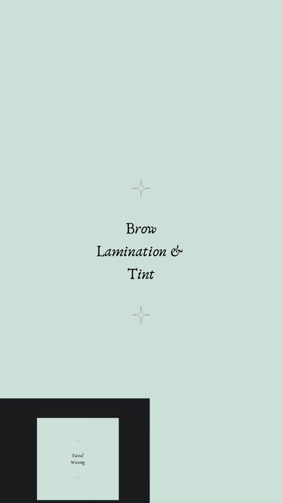 Brow Lamination & Tint
