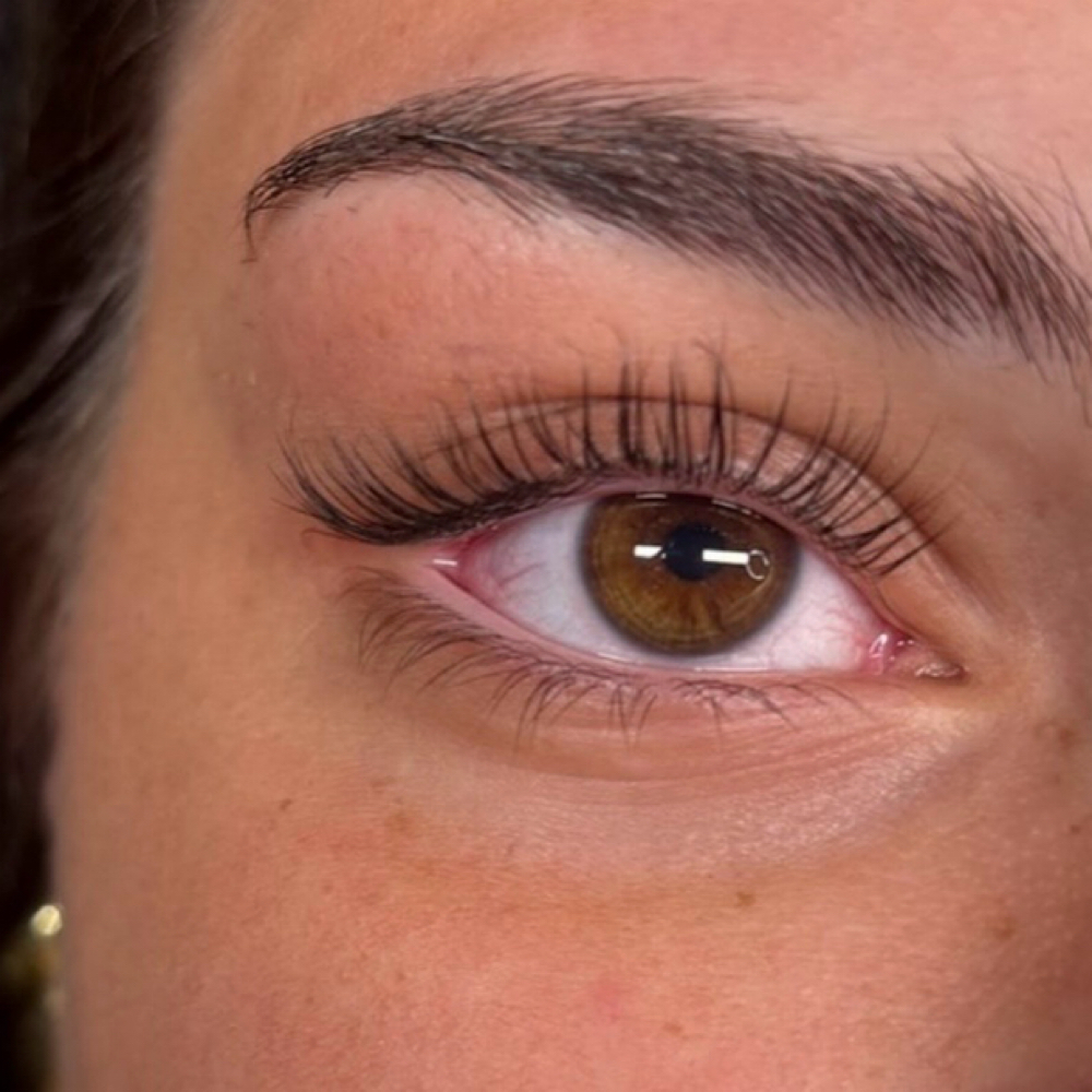 Eyelash Lift & Tint at Western Rose Salon in Dublin, PA