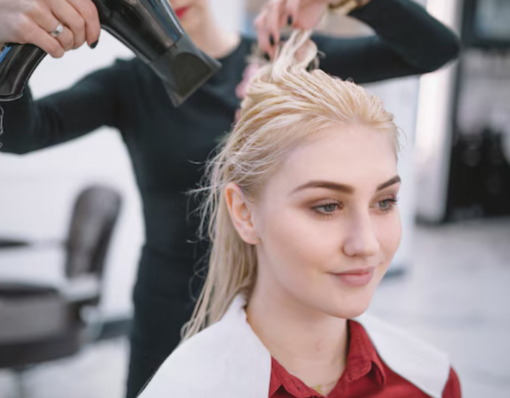 Full head of Highlights + Haircut