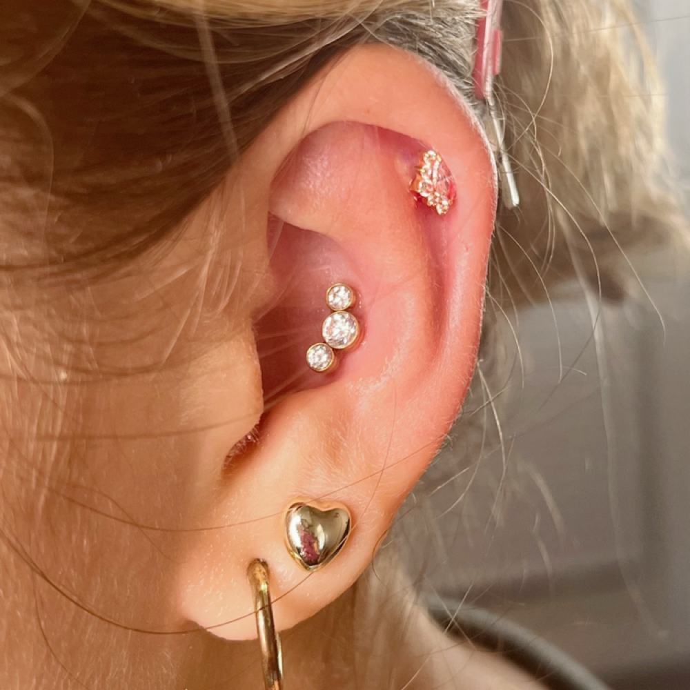 Piercing: Conch at NJC Salon in Wilmington, OH