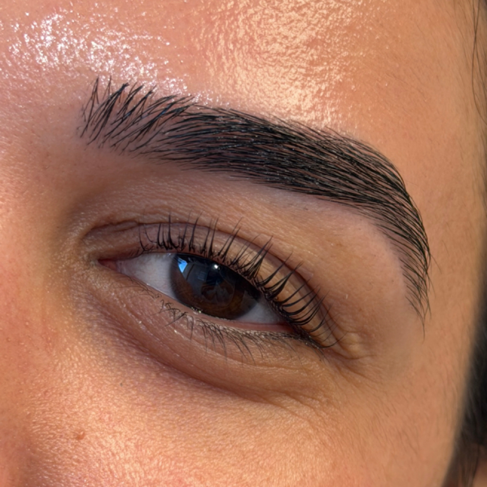 Standard Lash Lift at OpalSknStudio in Santa Monica, CA