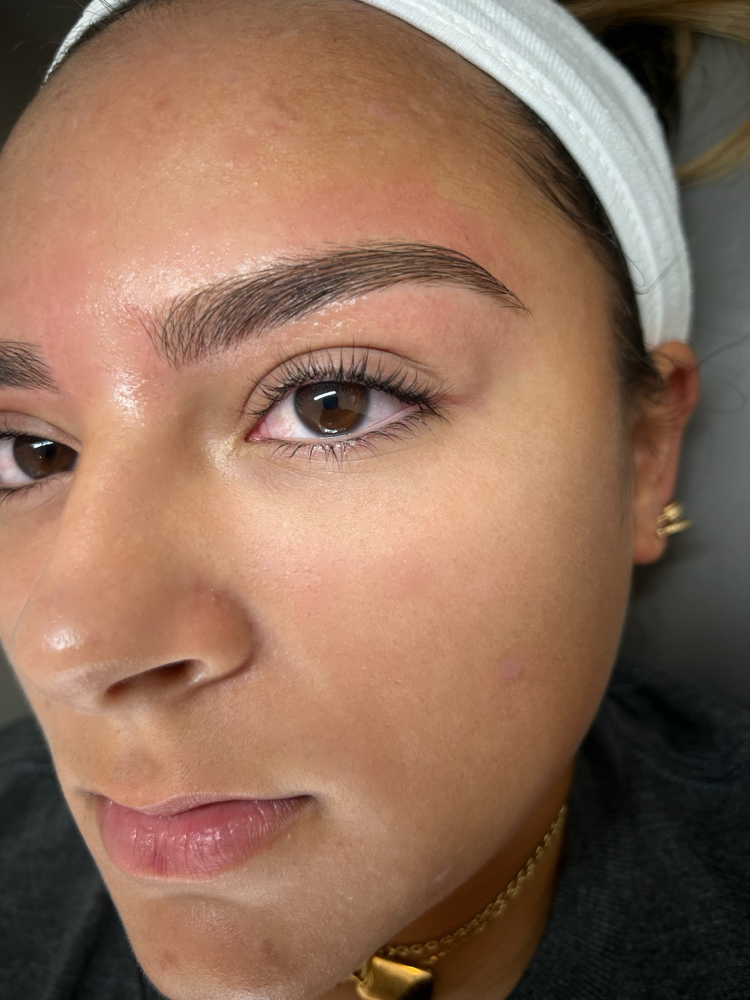 Eyebrow Wax + Tint