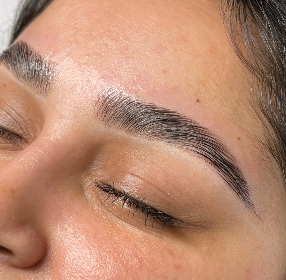 Brow Lami at True Beauty LLC in Hobart, IN