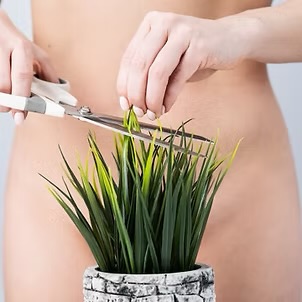 Bare Affair [Brazilian Wax]