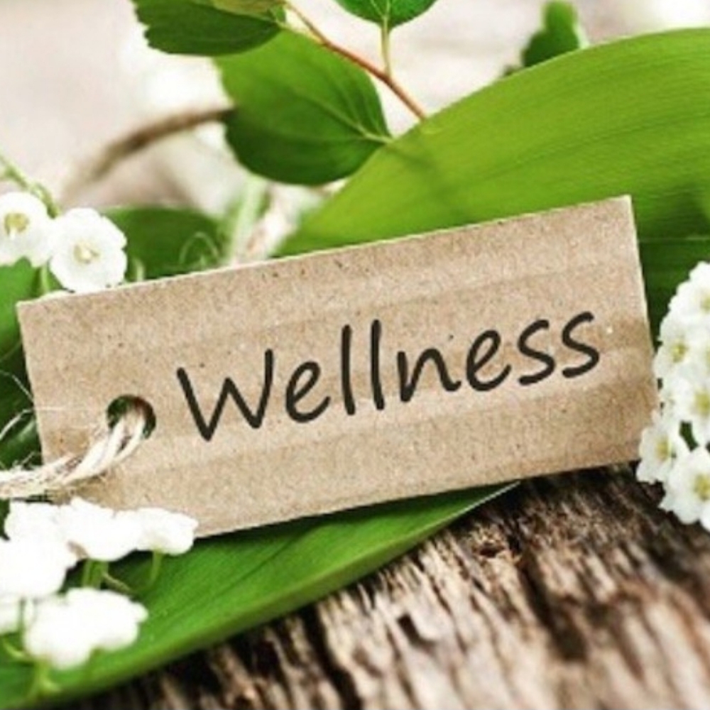 REIKI / BEMER Intergrated 45 Mins at Bright Willow Wellness in Lexington, VA