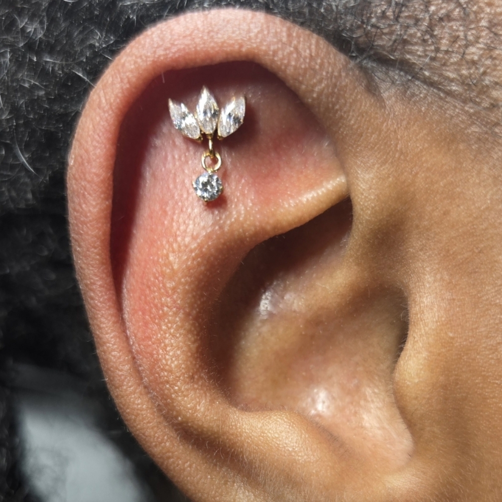 Flat Piercing at Gilded Needle in BRENTWOOD, CA
