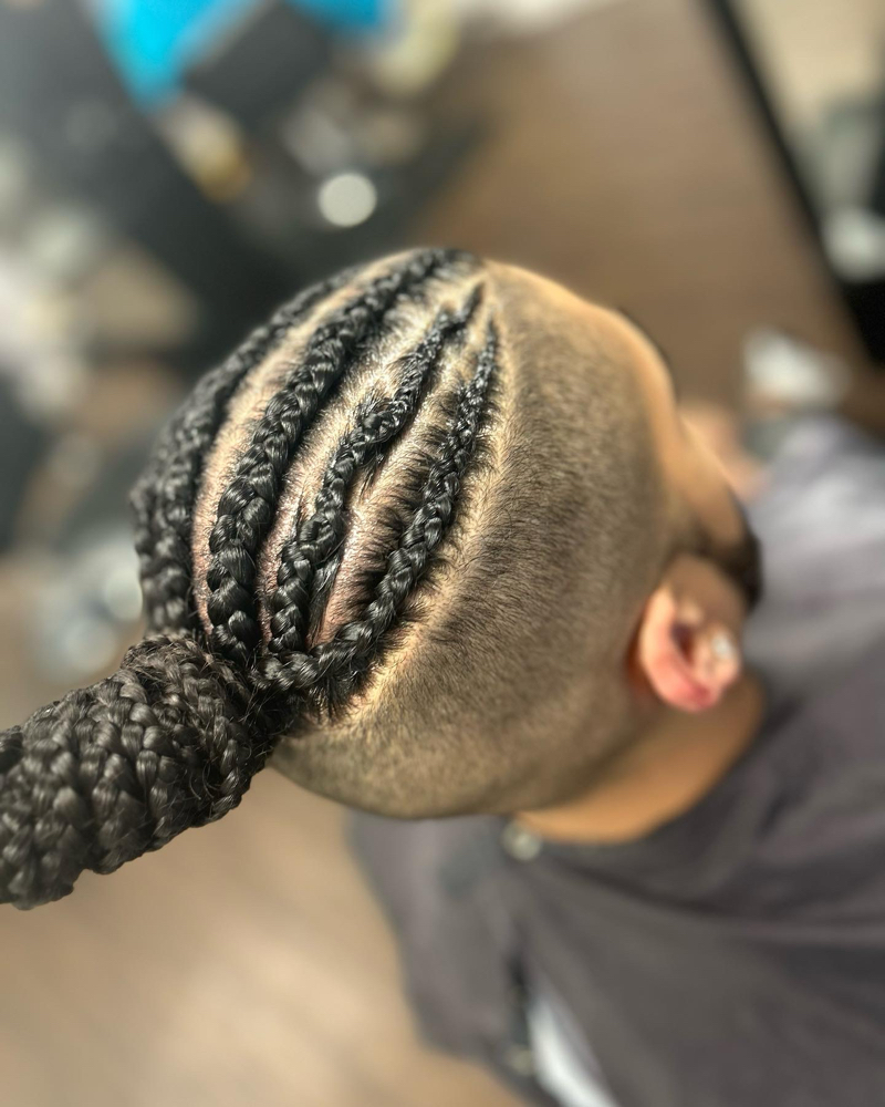 Male Braids