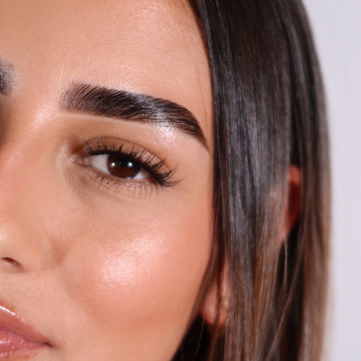 Brow Lamination | Hybrid Tint at Luz Brow Artistry in Orlando, FL