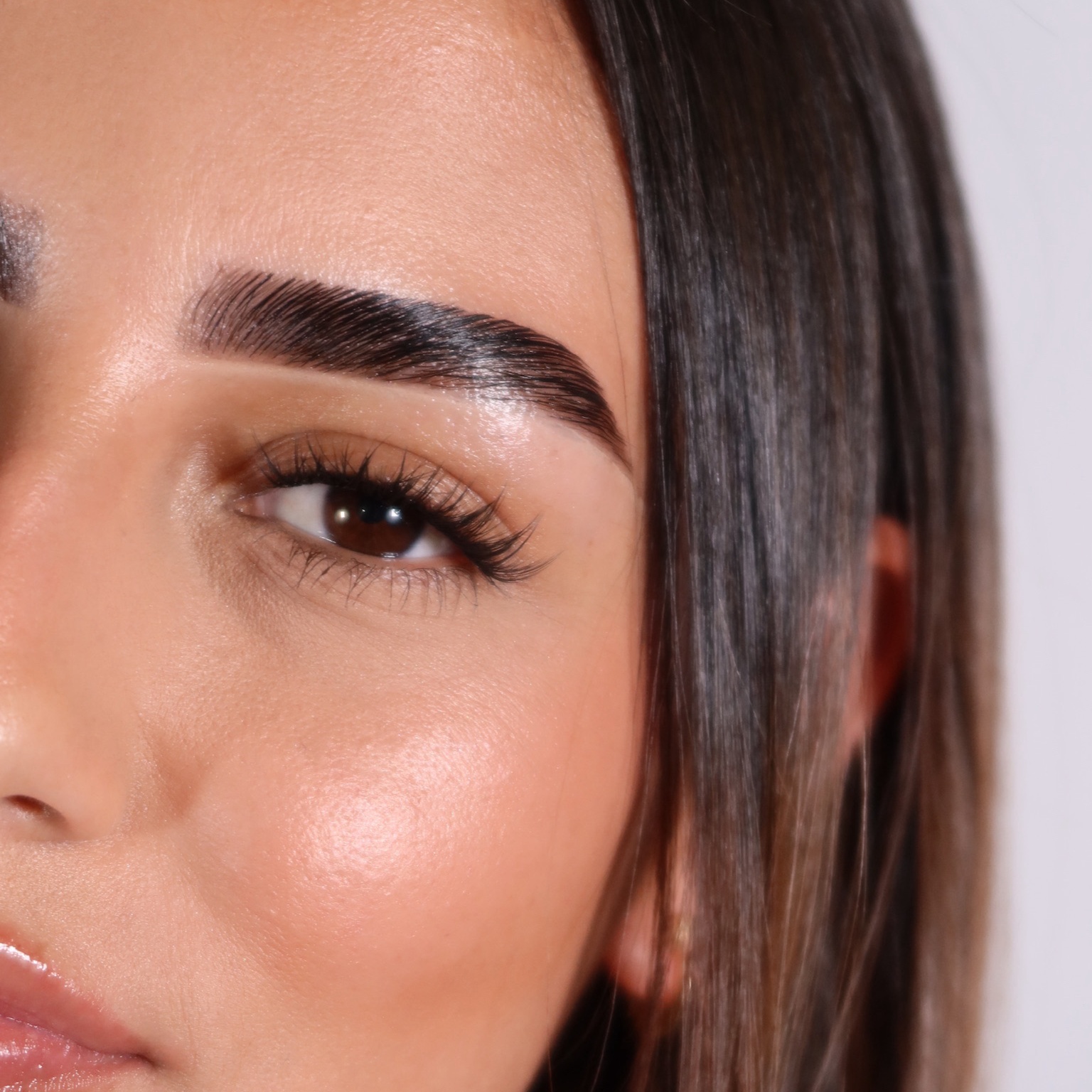 Brow Lamination | Hybrid Tint at Luz Brow Artistry in Orlando, FL