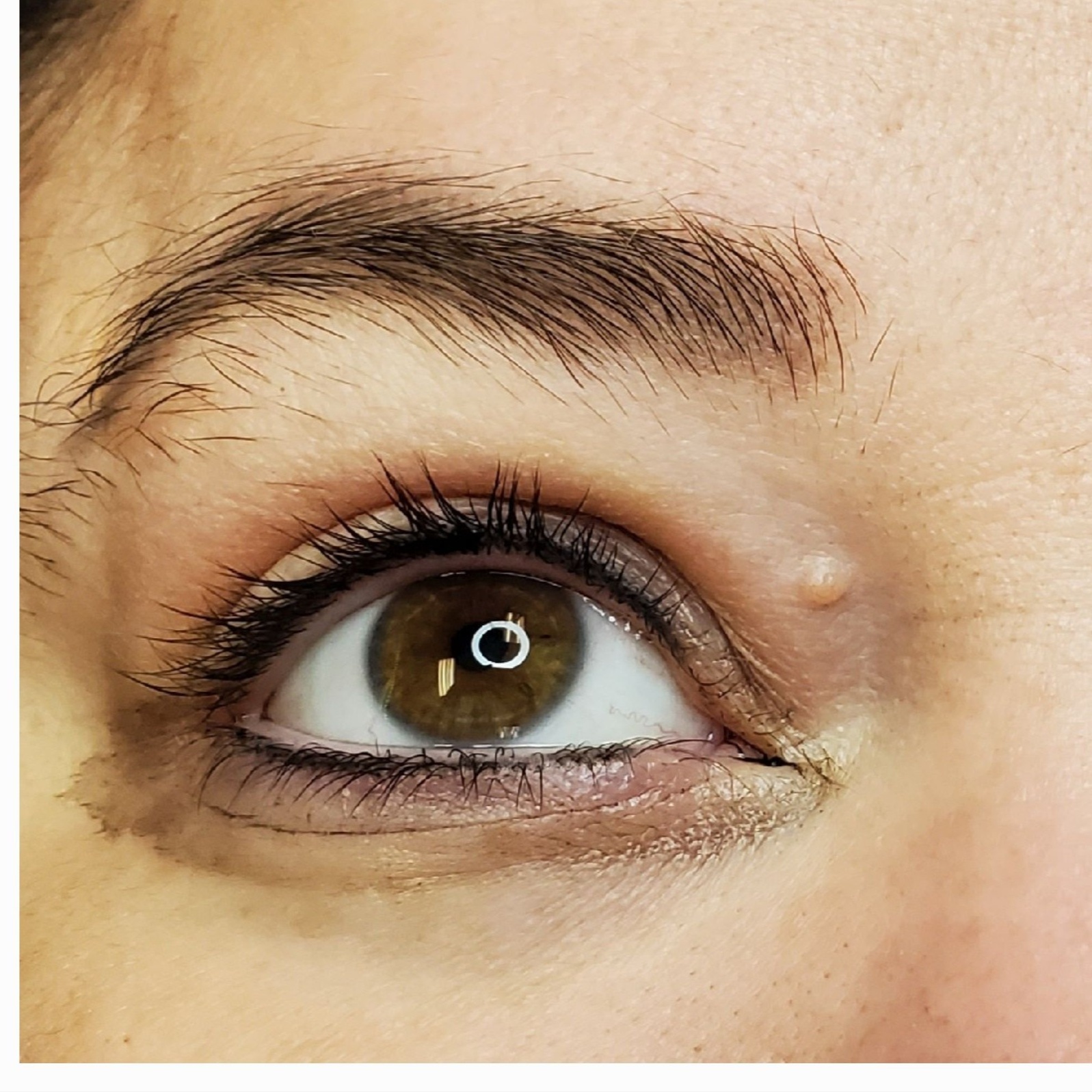 Lash Enhancements Full