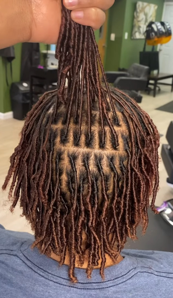 Loc Retwist (150-170 locs)