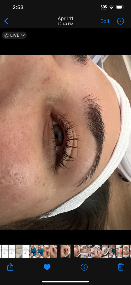 Lash Lift W/tint