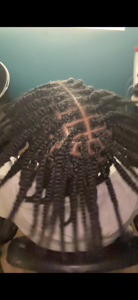 Two Strand Twist On Natural Hair
