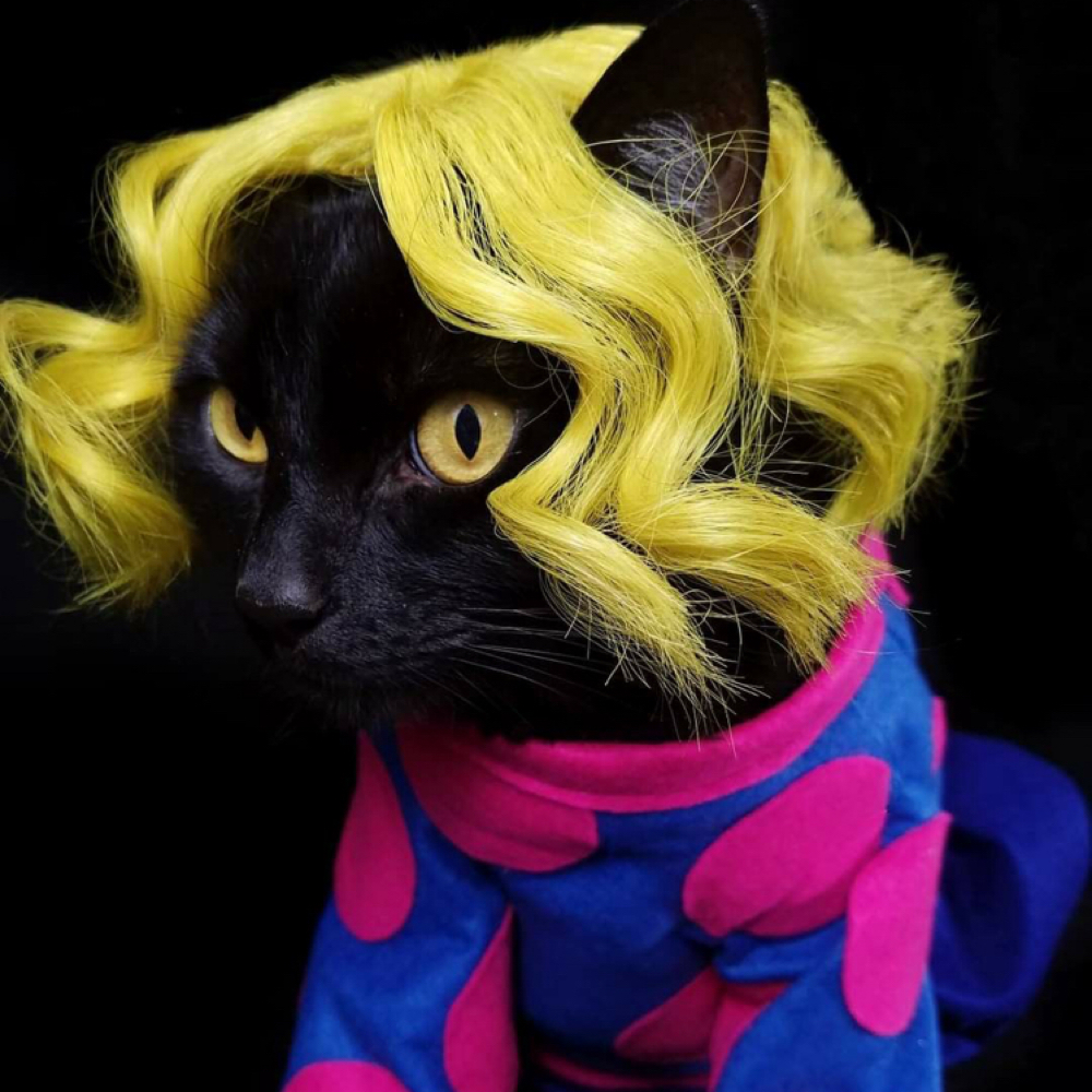 Creative Haircut & Treatment