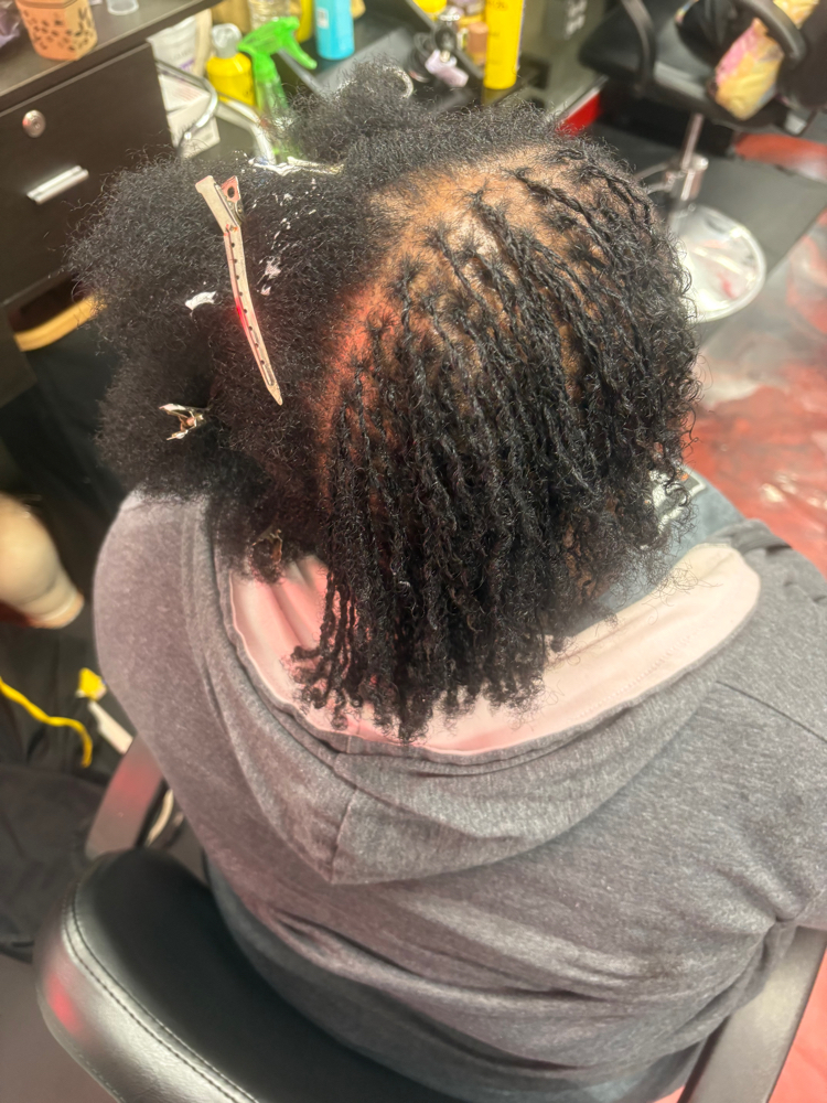 Micro Locs (No Hair Added)