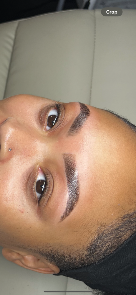 TB Lami and tint combo at TopBrow Beauty Bar LLC in Taftville, CT