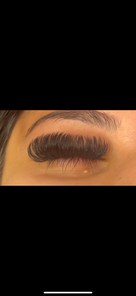 Bottom Lashes