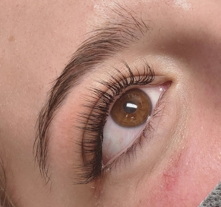 Classic Lash Fill