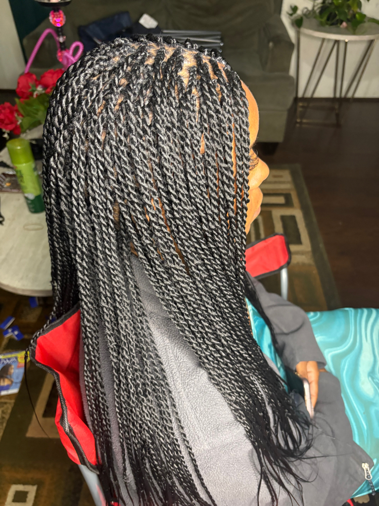 Micro Senegalese Twist(Midback)