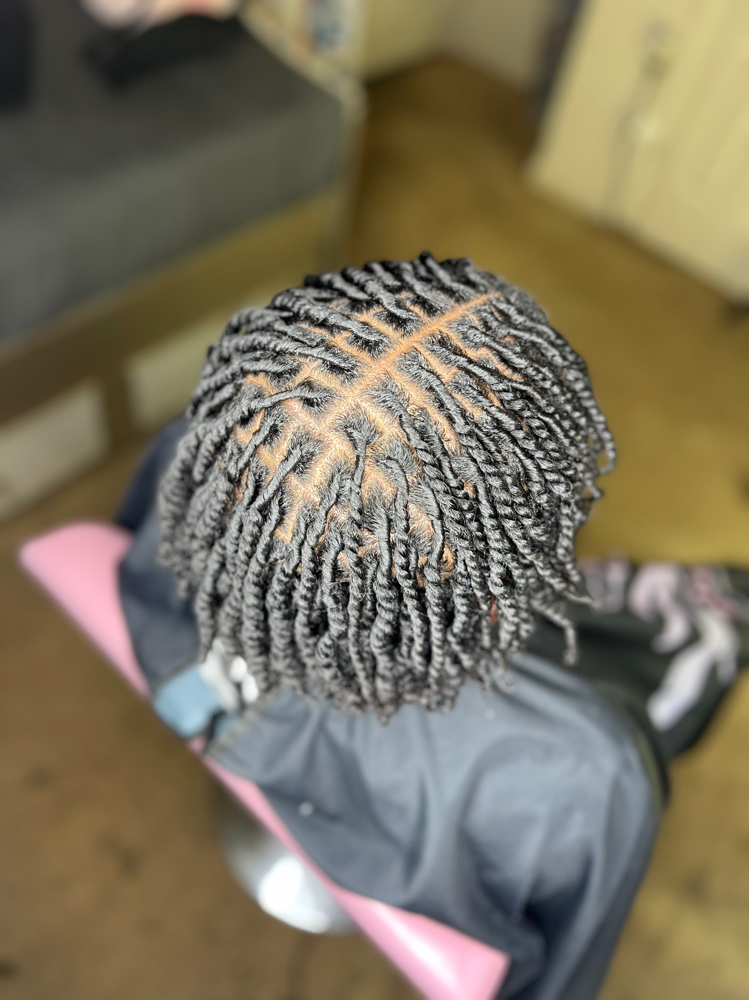 2strandstarter Locs Smedium