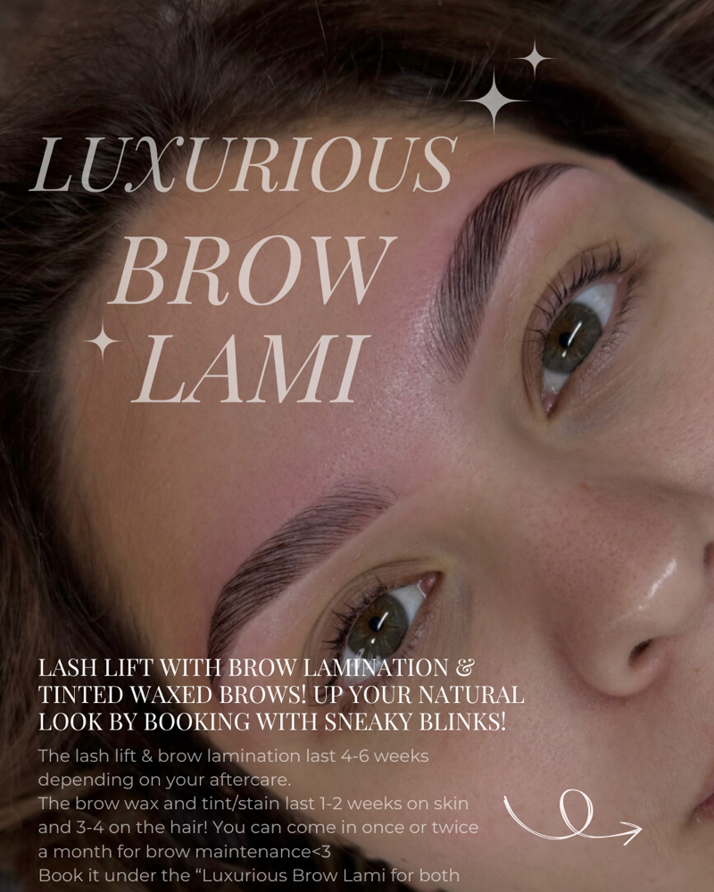 Luxurious Brow Lami 💗
