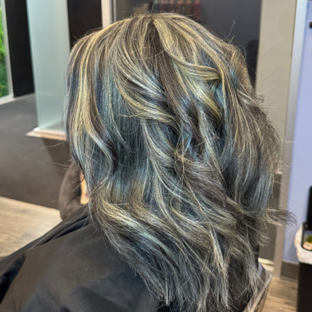 Full Highlight & Style at Hidden Beauty Studios in Charlotte, NC