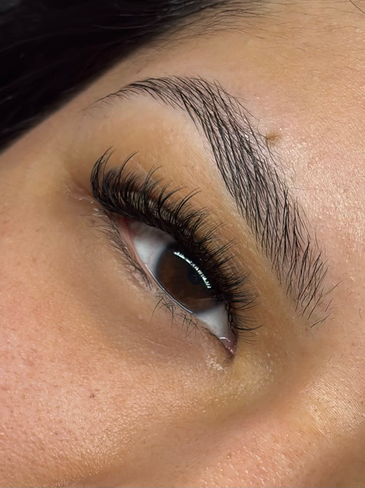 Light Volume(Hybrid) Full Set