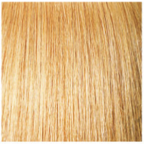 27 (HONEY BLONDE)