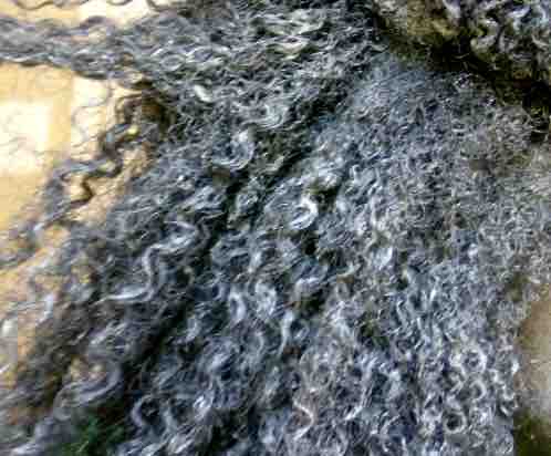 Natural Hair Bath