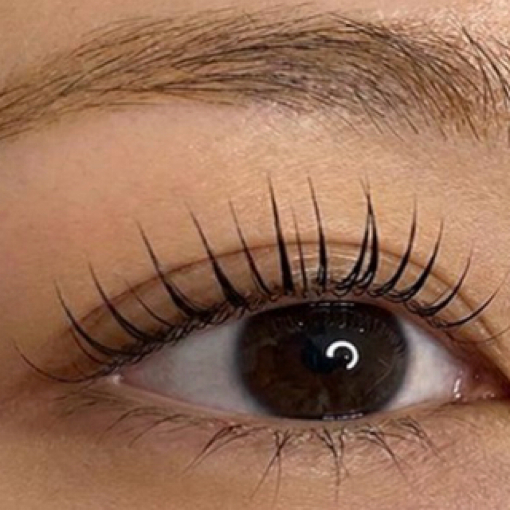 Korean Lash Lift at Luxe Lash Studio by Mimi in Wilmette, IL