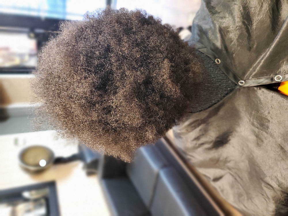 Sisterlocks/Brotherlocks Consultati