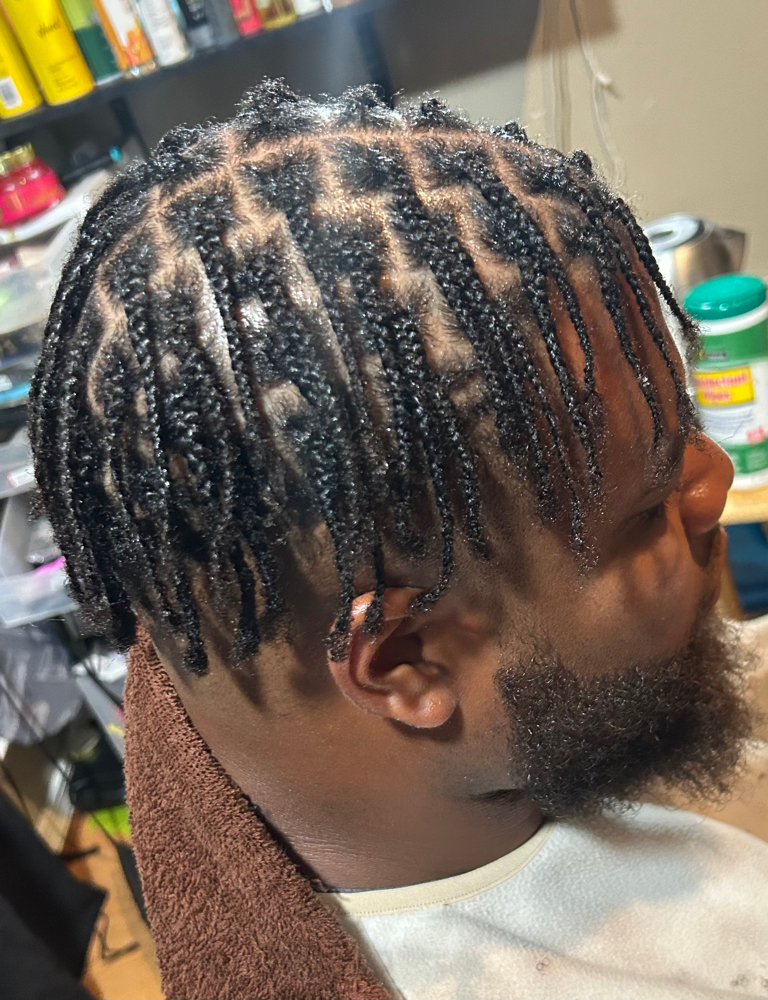 Natural Hair Plaits (faded Sides)