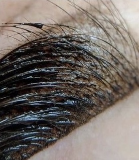 Eyebrow Tint