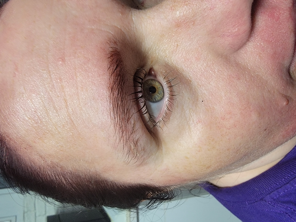 Lash Botox And Tint