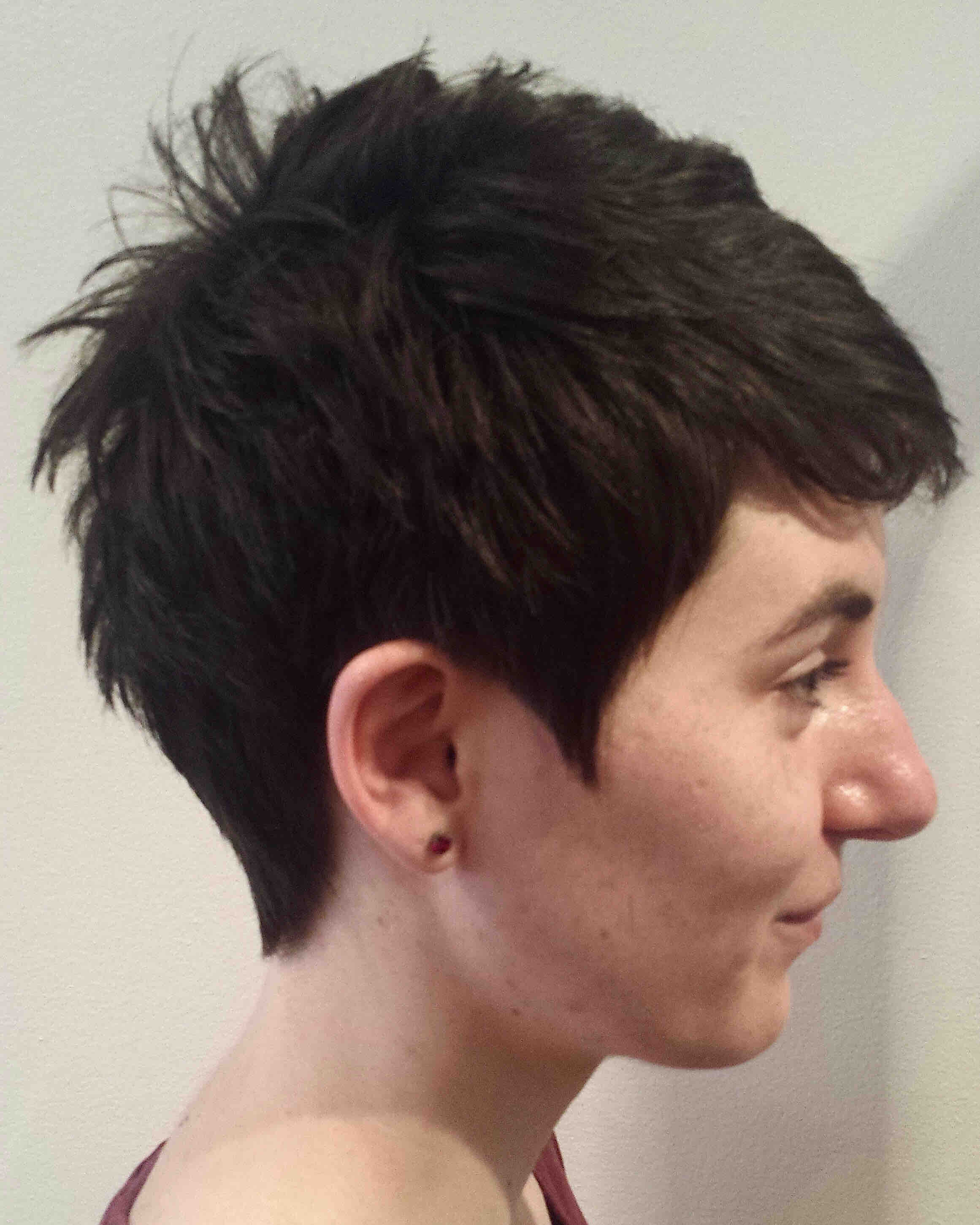 Short Hair Scissor Cut