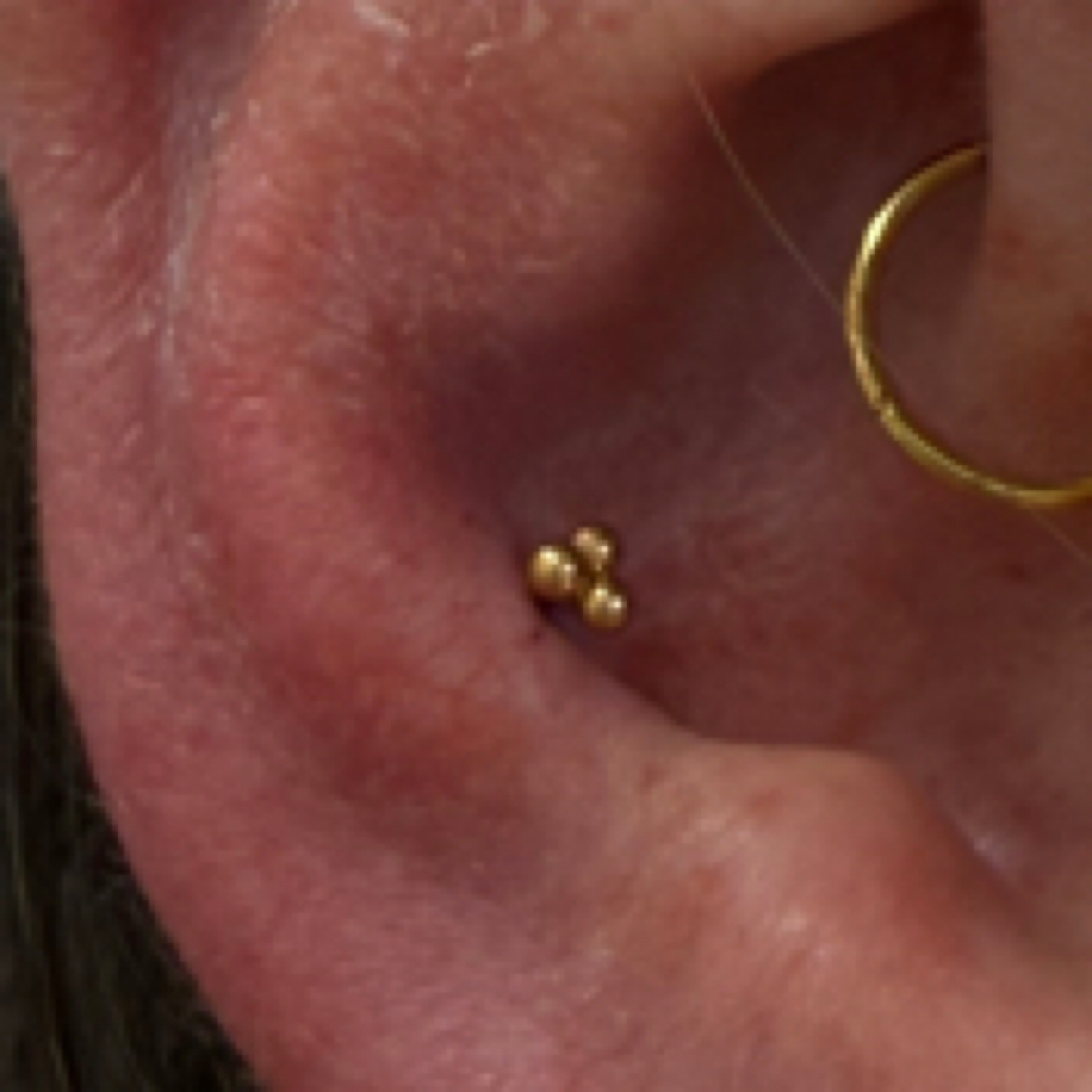 Conch at The Mark She Made in Clovis, CA