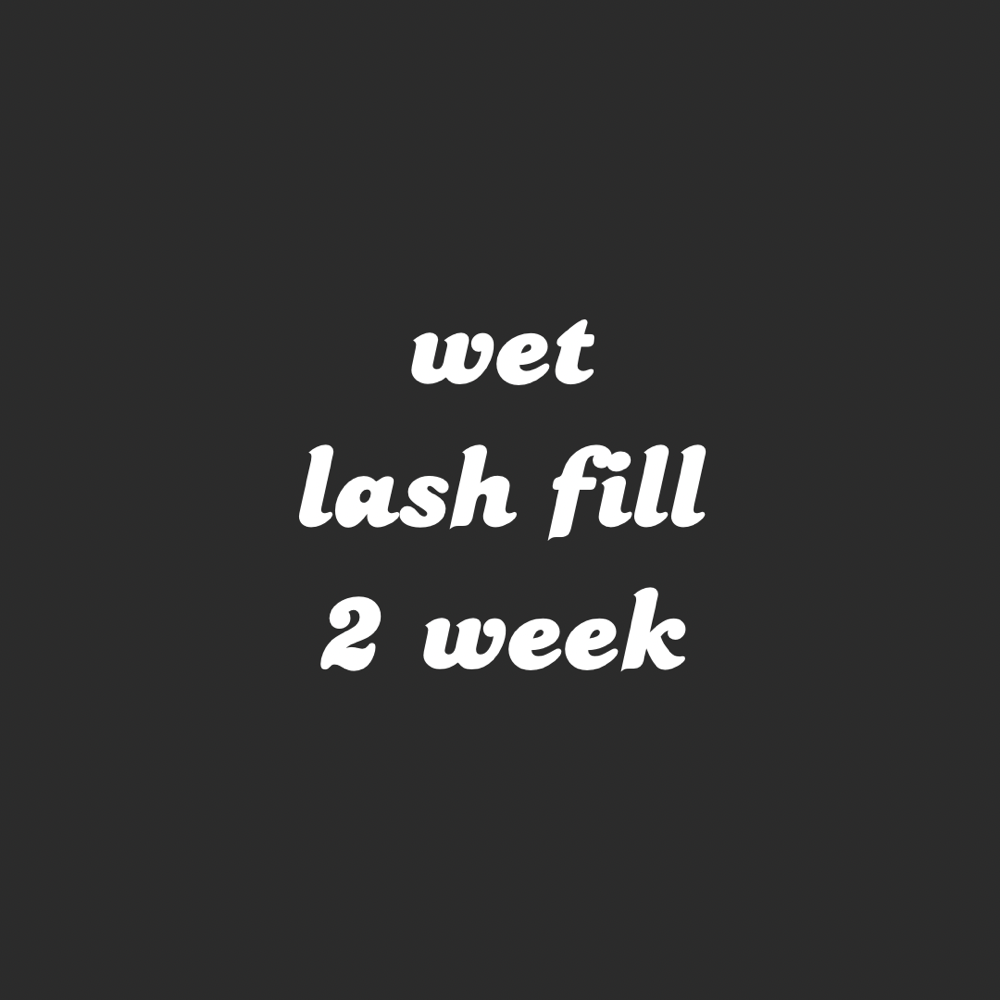 Wet Lash Fill - 2 Week at Dream Esthetics in West Babylon, NY