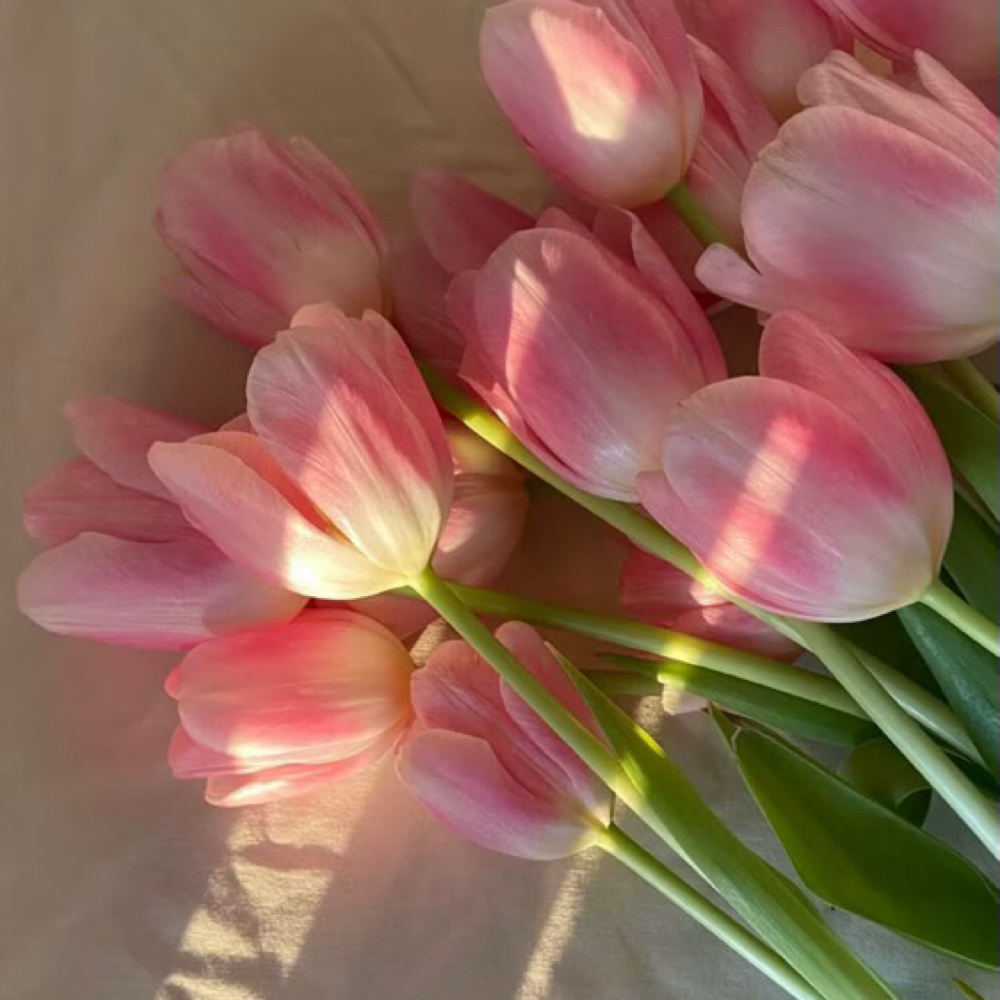 Spring Fling Facial 🌷 at Alura Aesthetics in Crestwood, KY