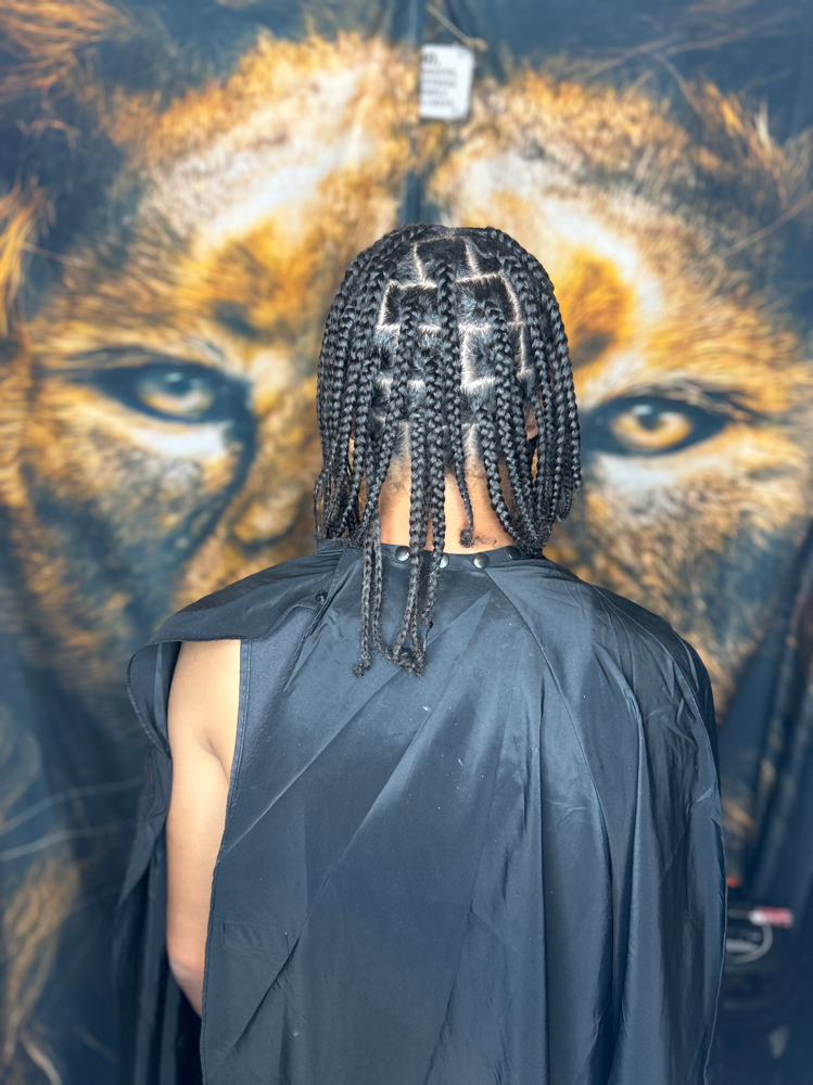 Kids Natural Box Braids