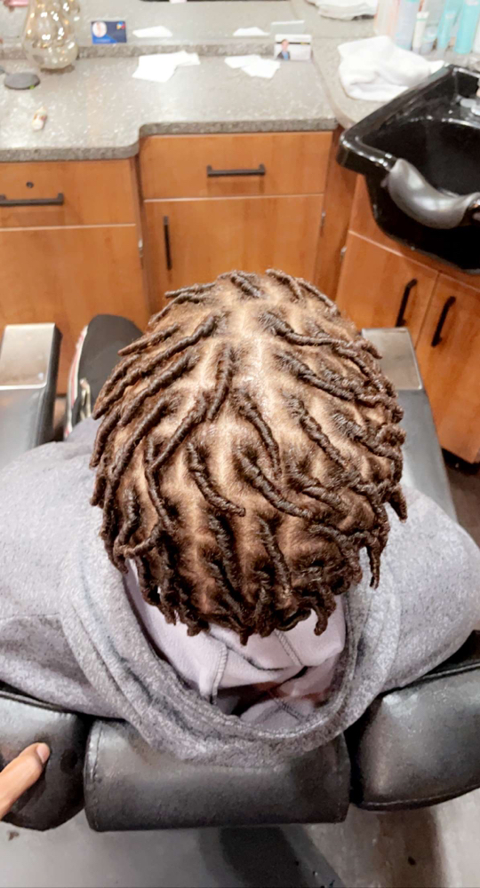 Starter Locs