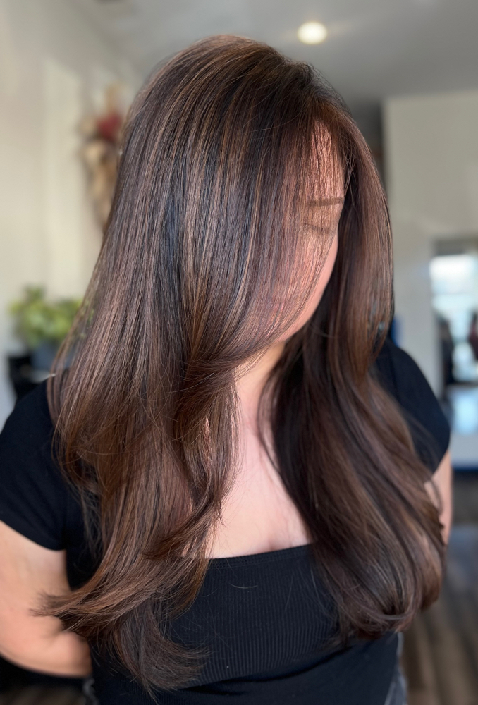 Base Color + Full Highlight at Daxella Salon in Hernando, MS