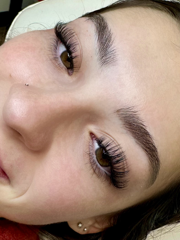 Classic Lash •FILL•