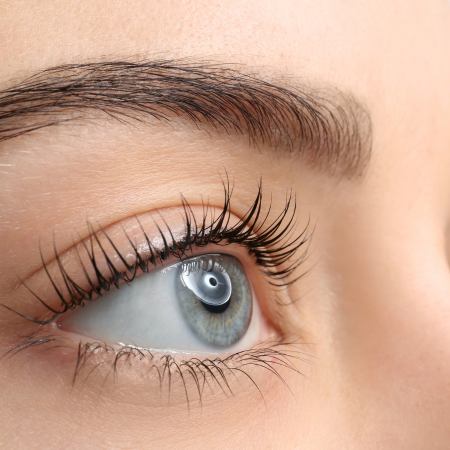 Lash Lift at Wellington Skin Studio in Wellington, FL